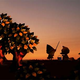 Illustration for article titled Animal Crossing Wii At E3 Already Confirmed?